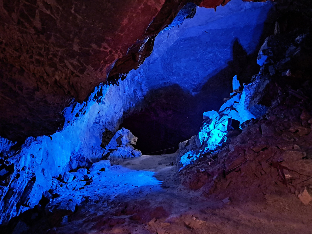 Woodward Cave and Campground景点图片