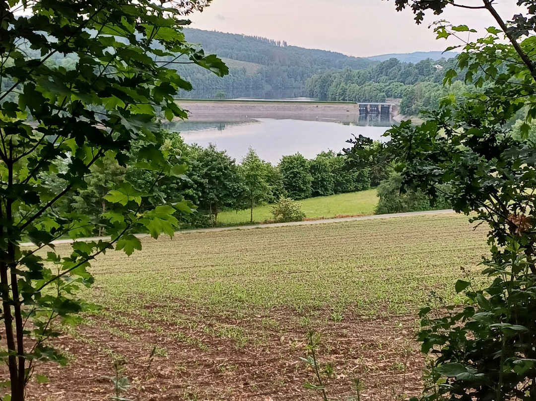 Diehlberg Hotel主图