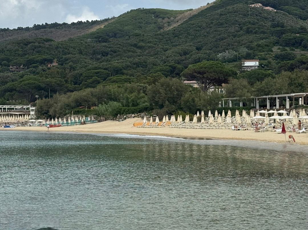毕欧多拉海滩景点图片