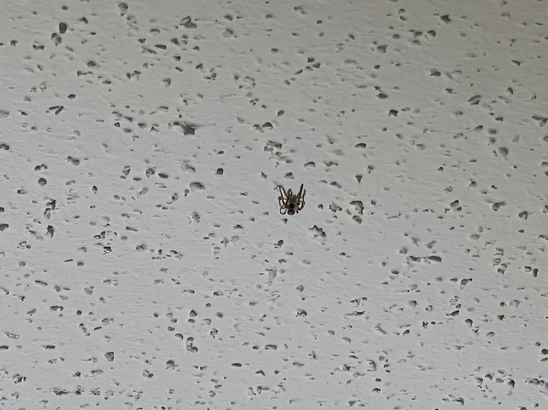 SpringHill Suites Mystic Waterford主图