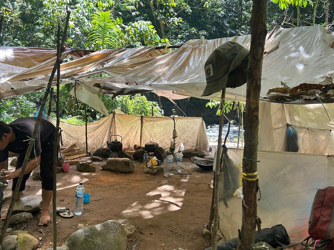 Hasby Ketambe Jungle Tours-Ketambe必去景点