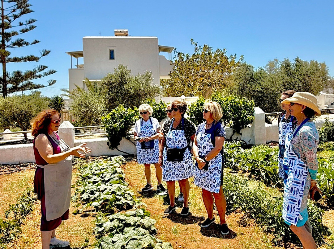 Paros Greek Cooking Lessons景点图片