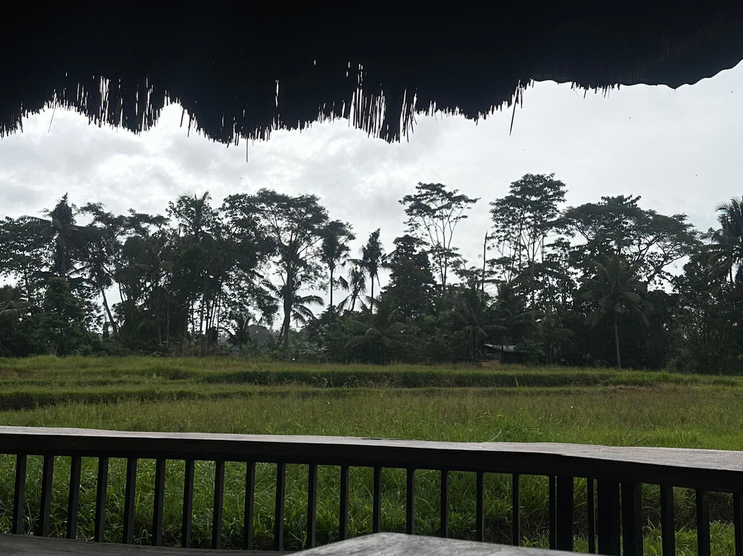 Kamareka tour and travel-登巴萨必去景点