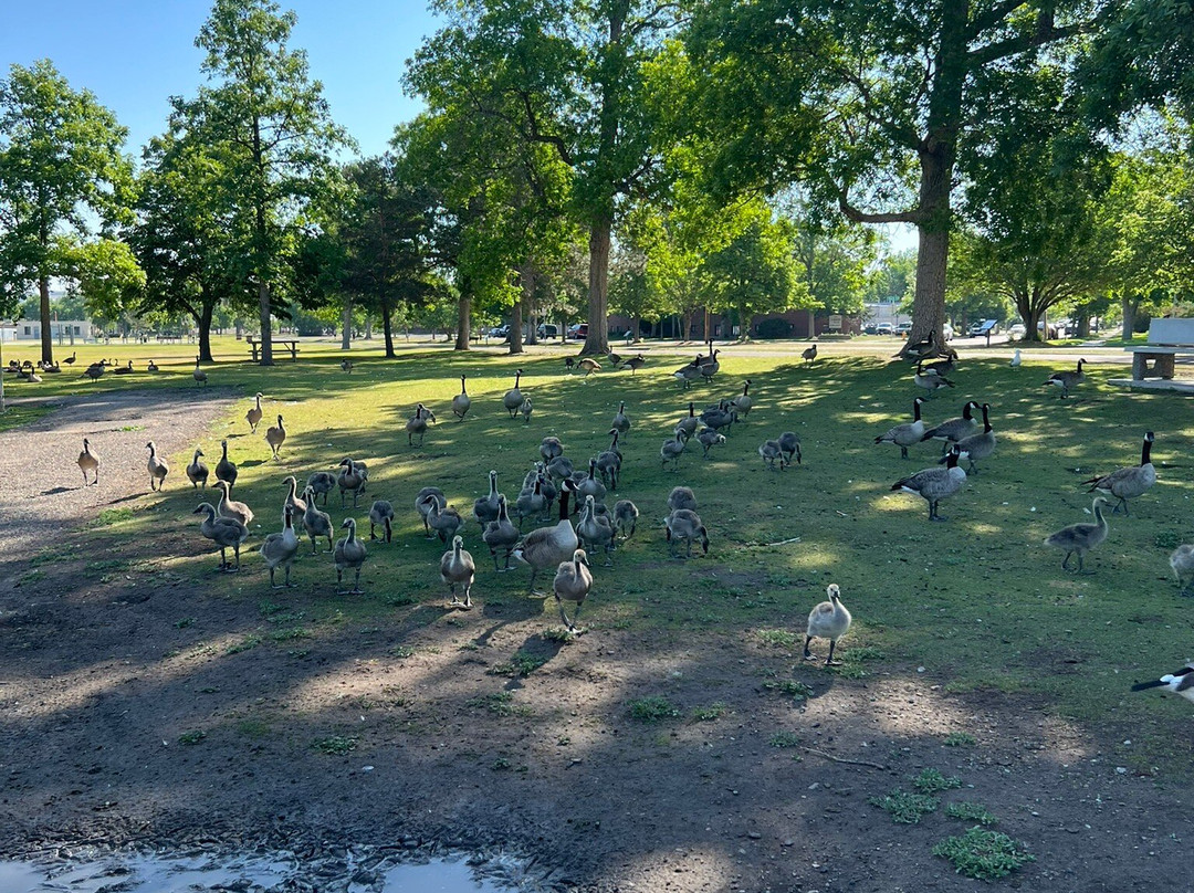 Gibson Park-大瀑布市必去景点