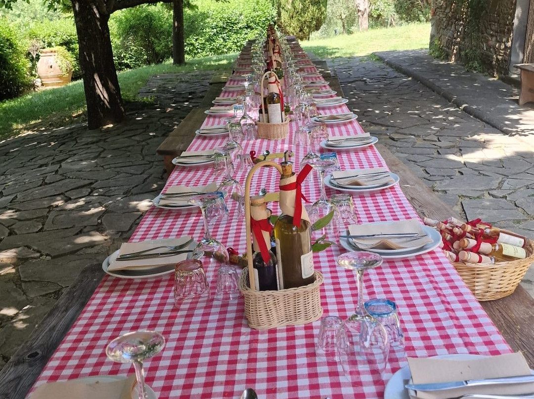 Fattoria La Vialla景点图片