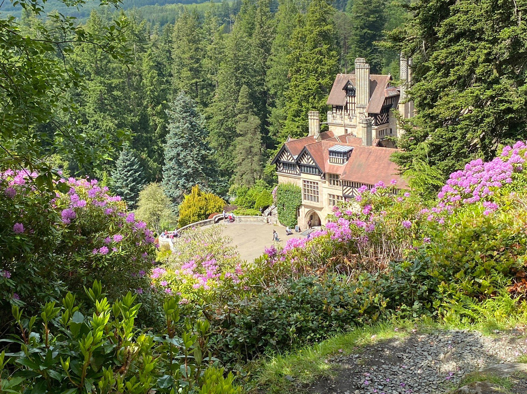 Cragside House and Gardens景点图片
