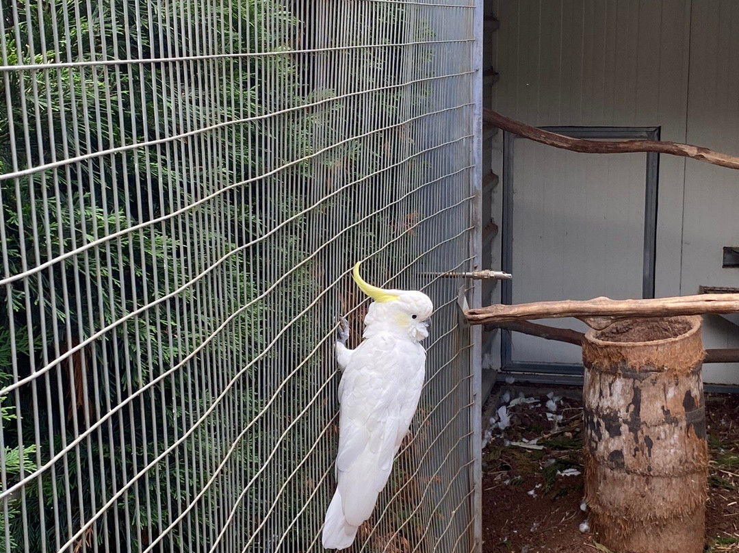 Ilha das Aves-Campanario必去景点