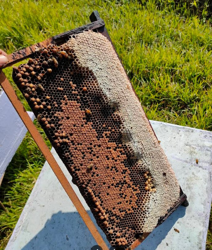 Sagar Bee-Gaindakot必去景点