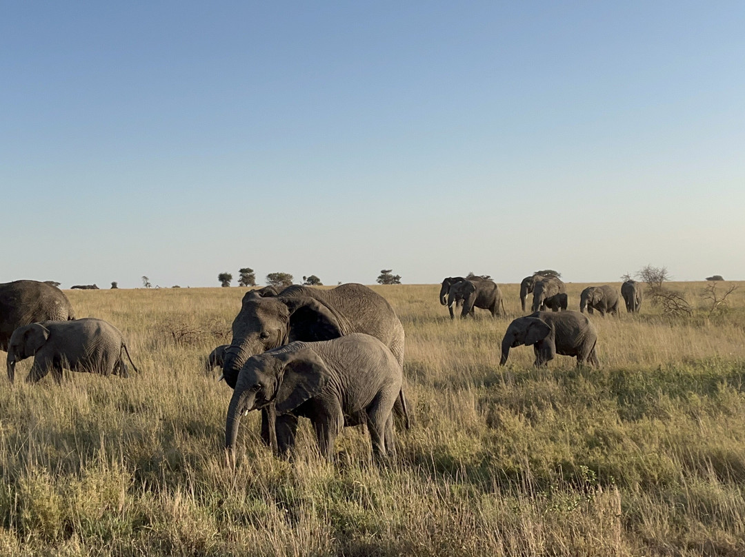 PROCEEDING ADVENTURES LIMITED-Marangu必去景点