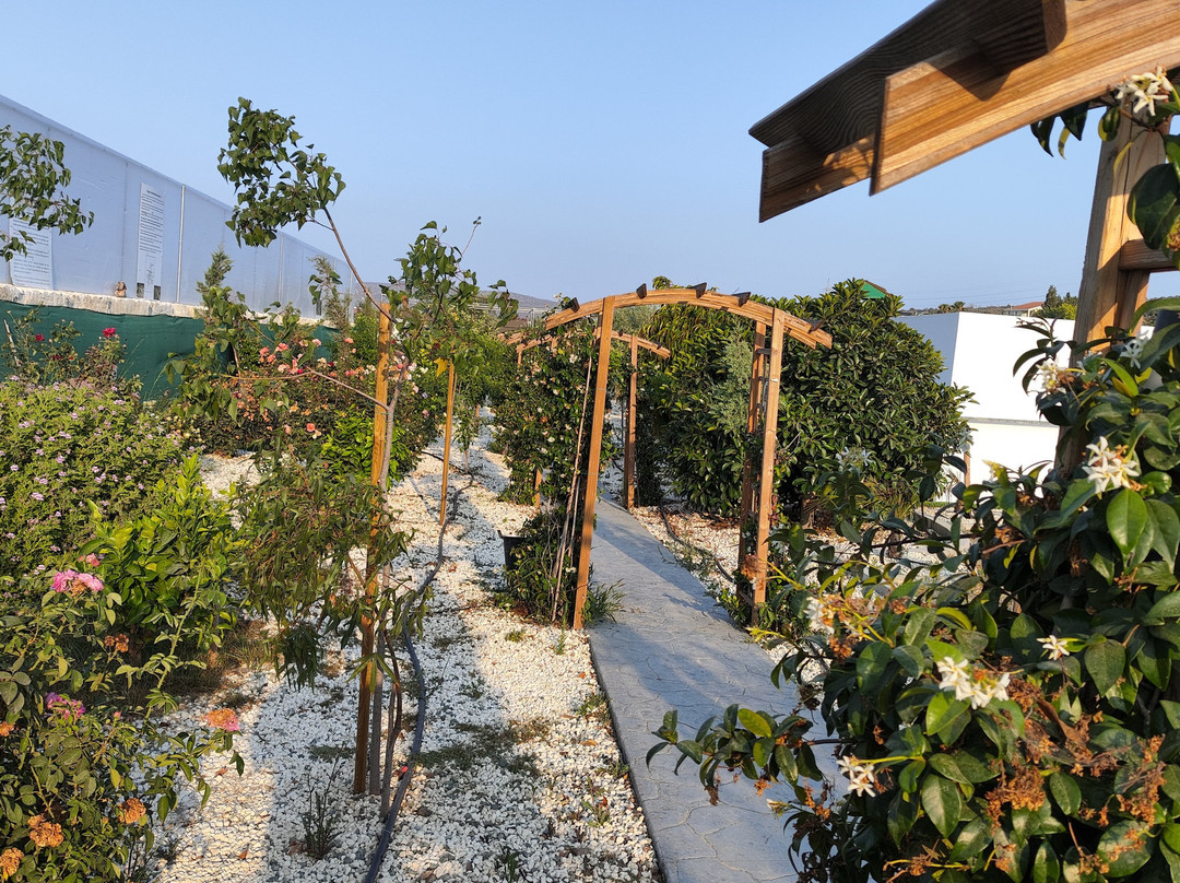 Pyrgos Aroma Herbal Park-Pyrgos必去景点