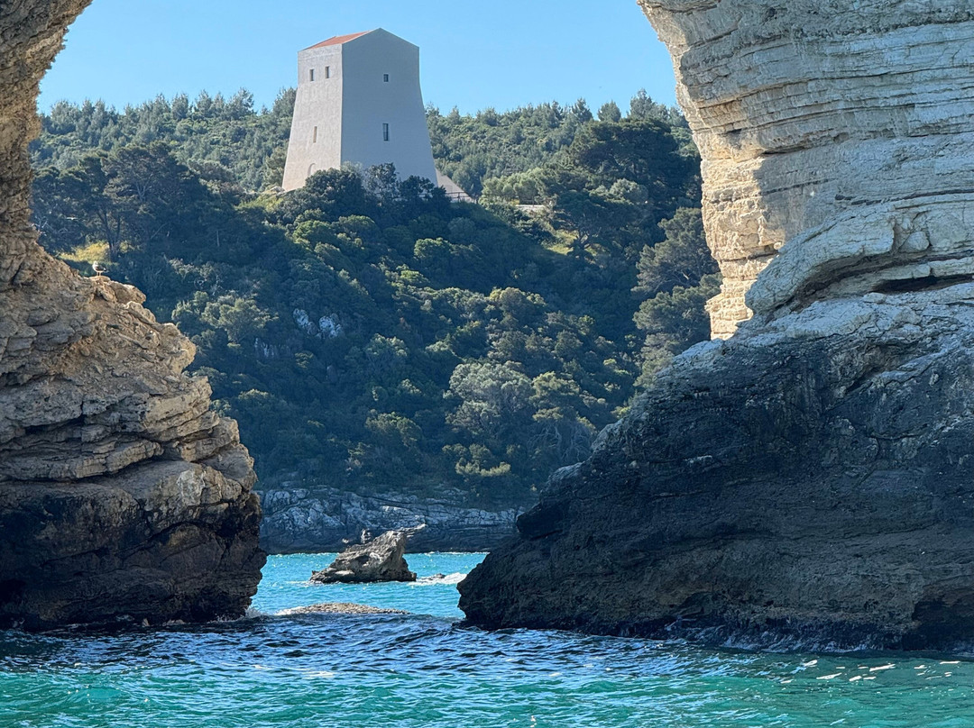 Arco di San Felice-维耶斯泰必去景点