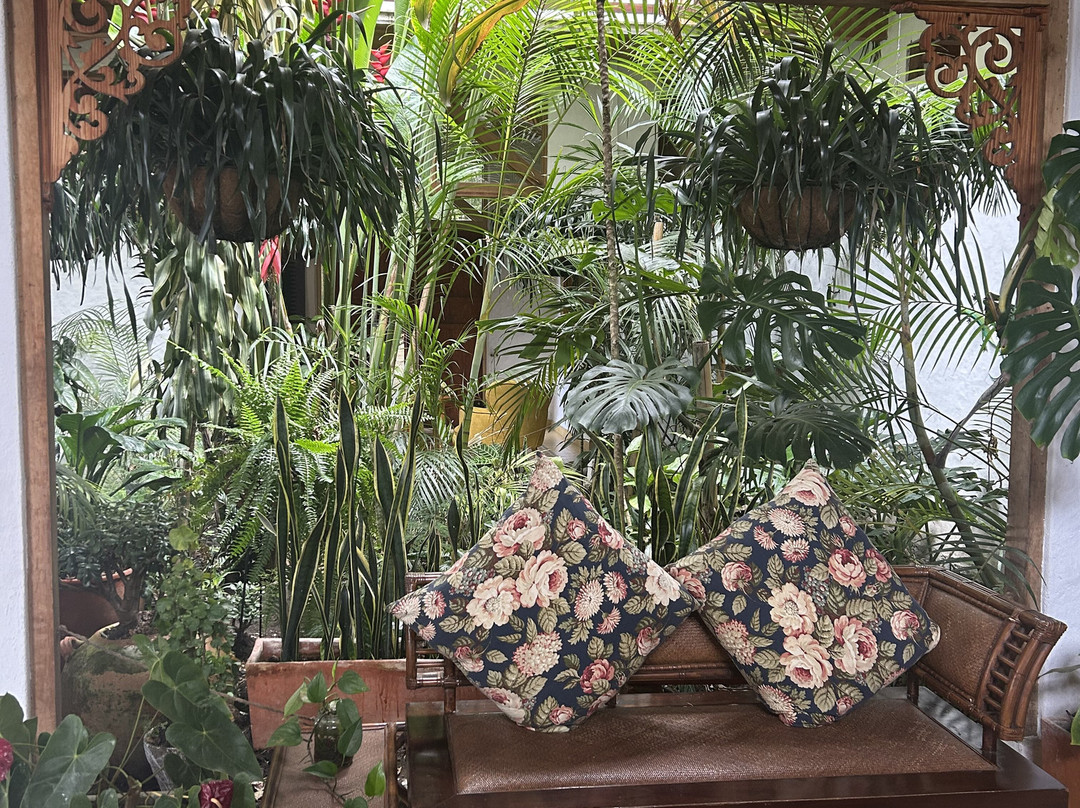 Hotel Terrazas de Salento主图