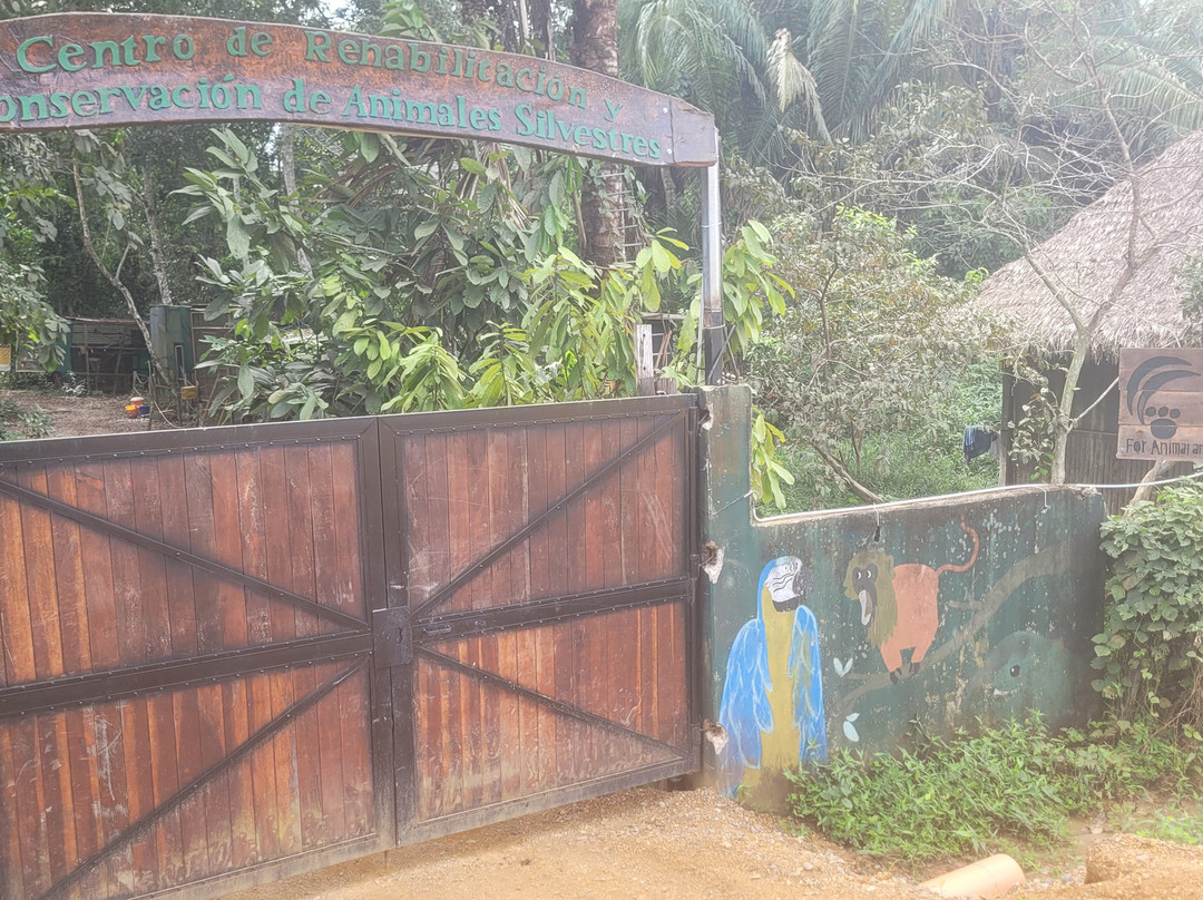 Amazon Shelter-马尔多纳多港必去景点