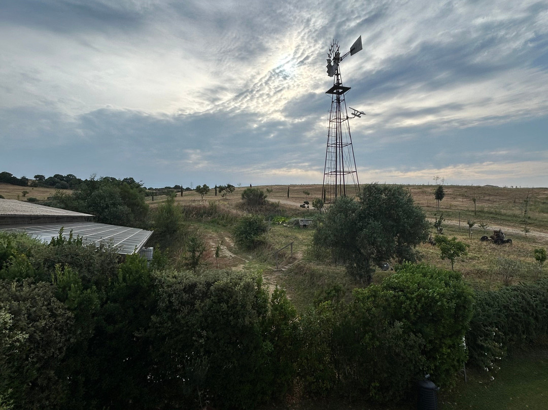 Agriturismo Re Tarquinio主图