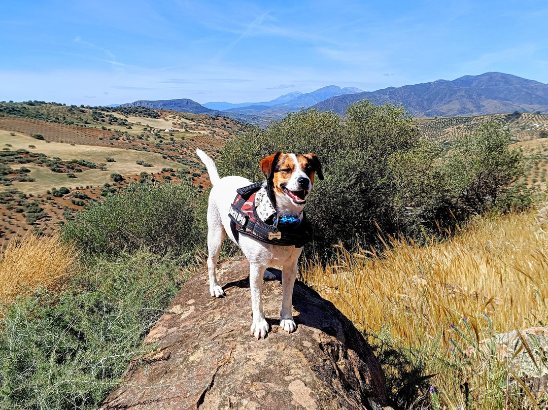 Finca Gran Cerros主图