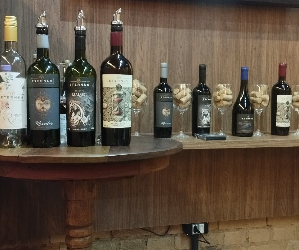 Vinhos Frank-Sao Roque必去景点