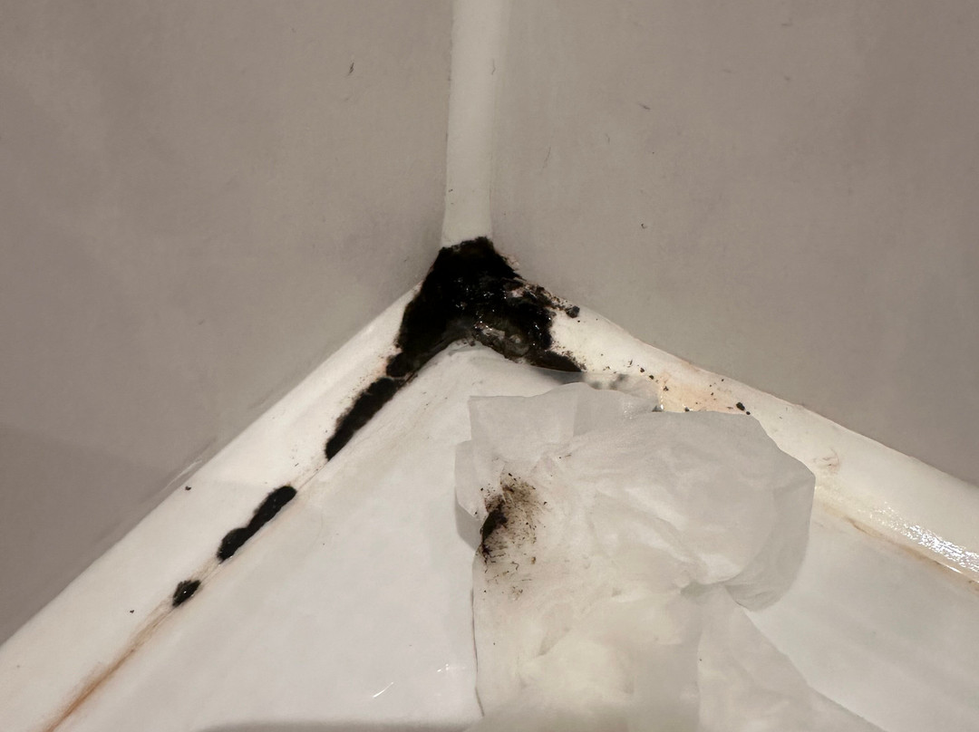 Arthotel ANA Gold主图