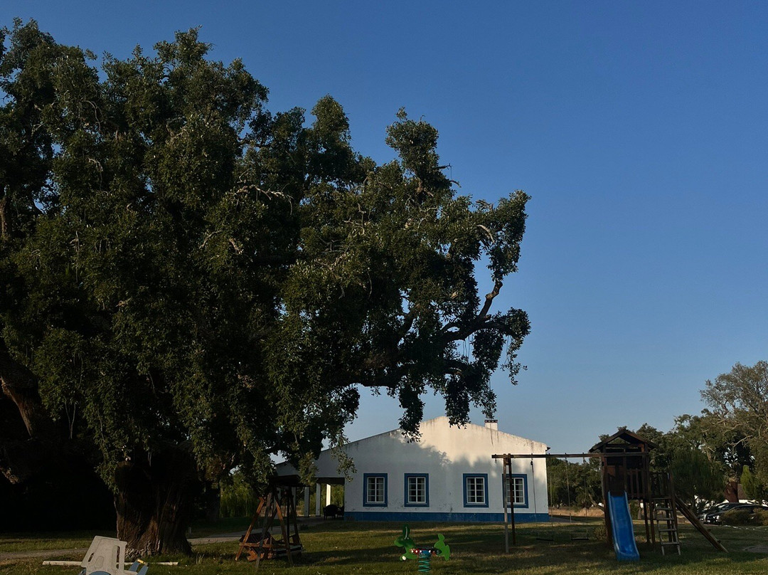 Monte das Faias主图