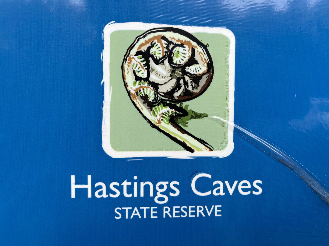 Hastings Caves and Thermal Springs-Hastings必去景点