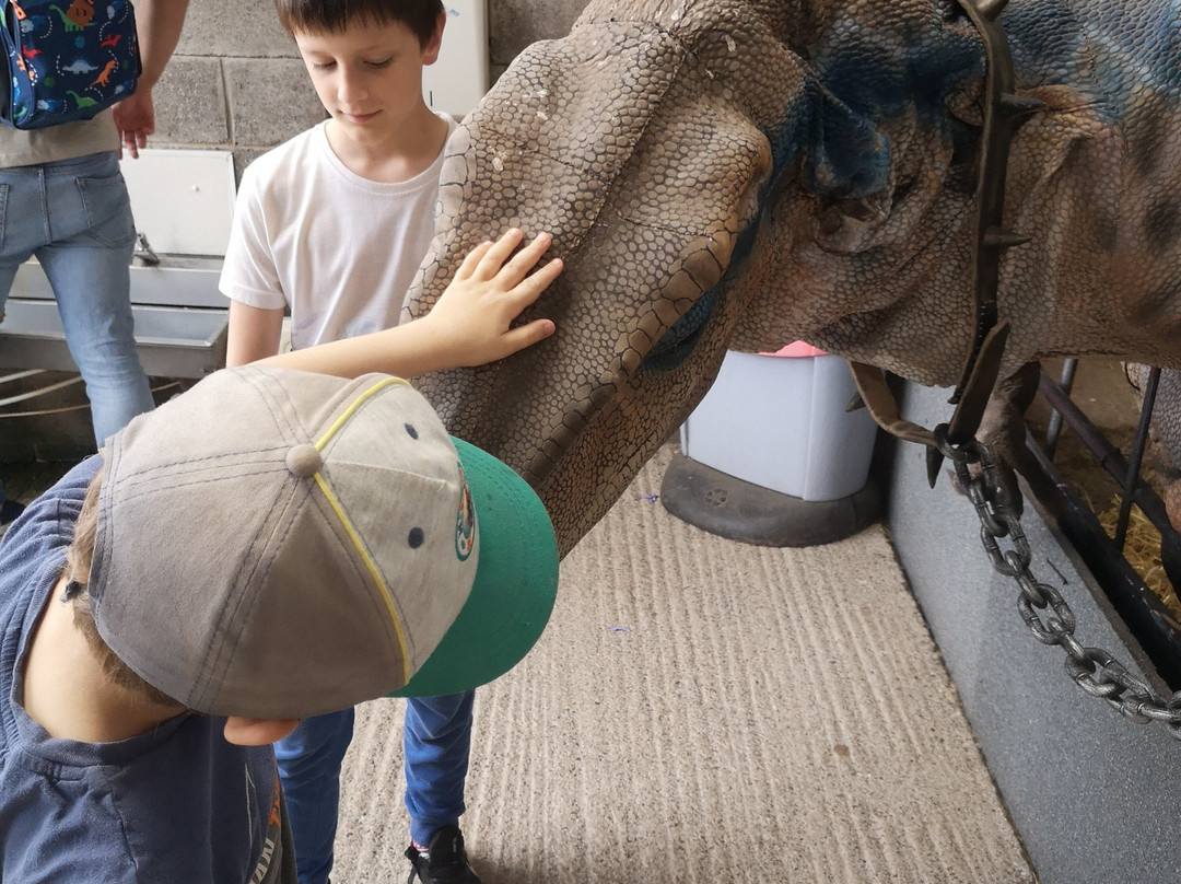 Cantref Adventure Farm and Riding Centre-布雷肯必去景点