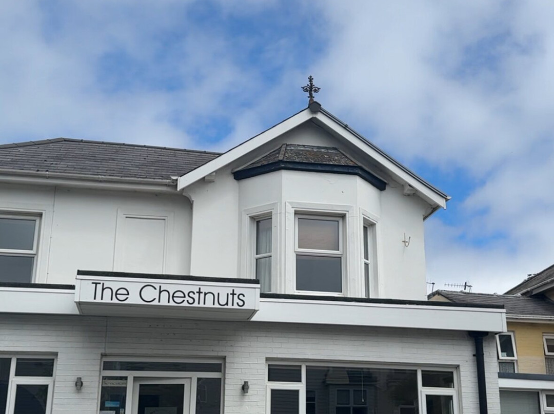 The Chestnuts主图