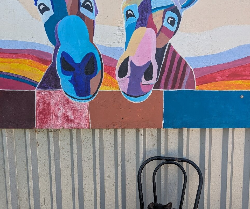 Agia Marina Donkey Rescue Sanctuary-Petrokefali必去景点