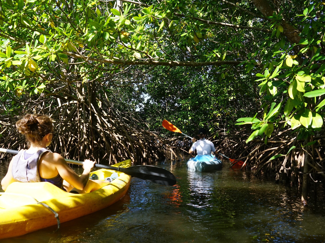 Mkg Centre Nautique-Deshaies必去景点
