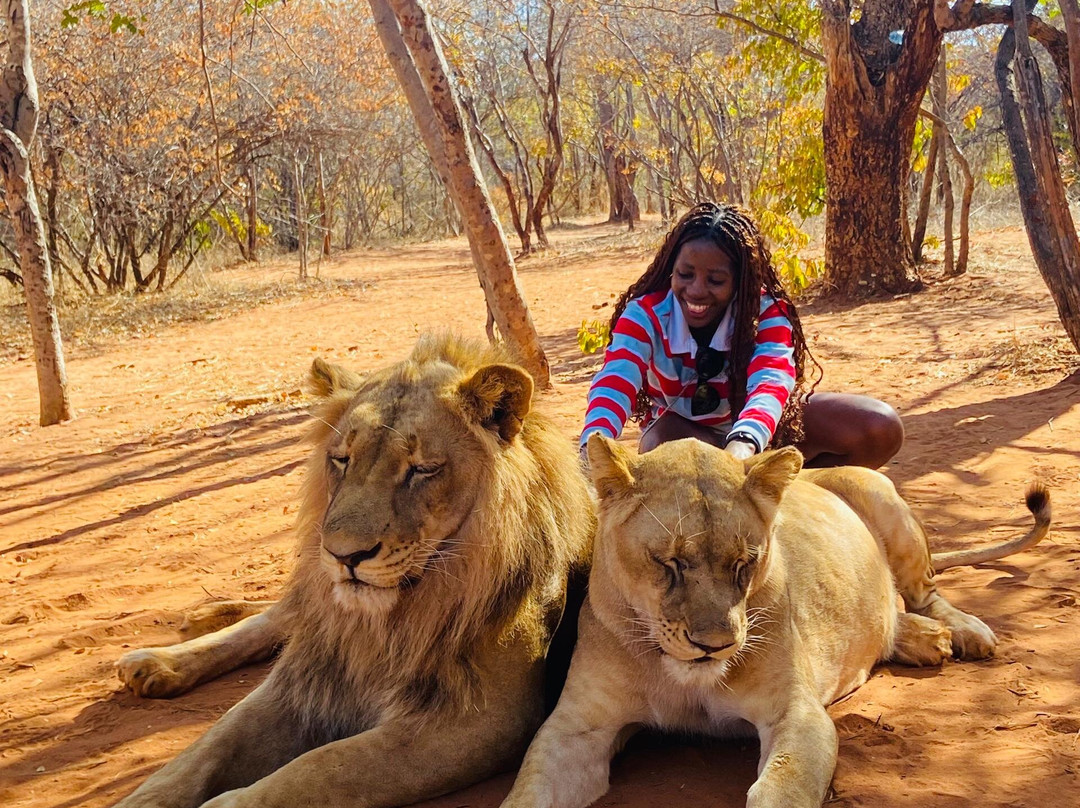 Untamed African Safaris-李文斯顿必去景点