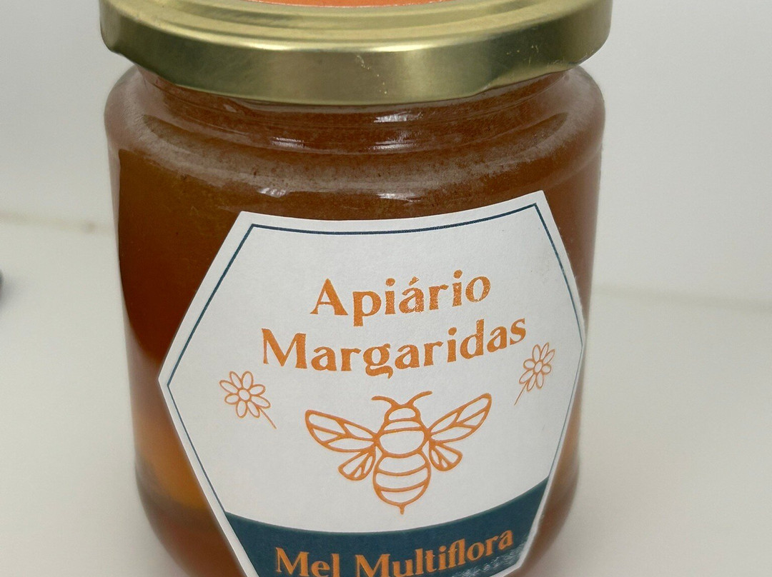Apiário Margaridas-Fenais da Luz必去景点