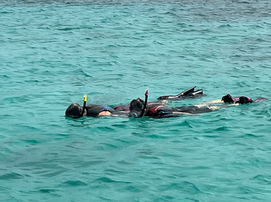 Private Snorkeling Aruba-棕榈/鹰海滩必去景点