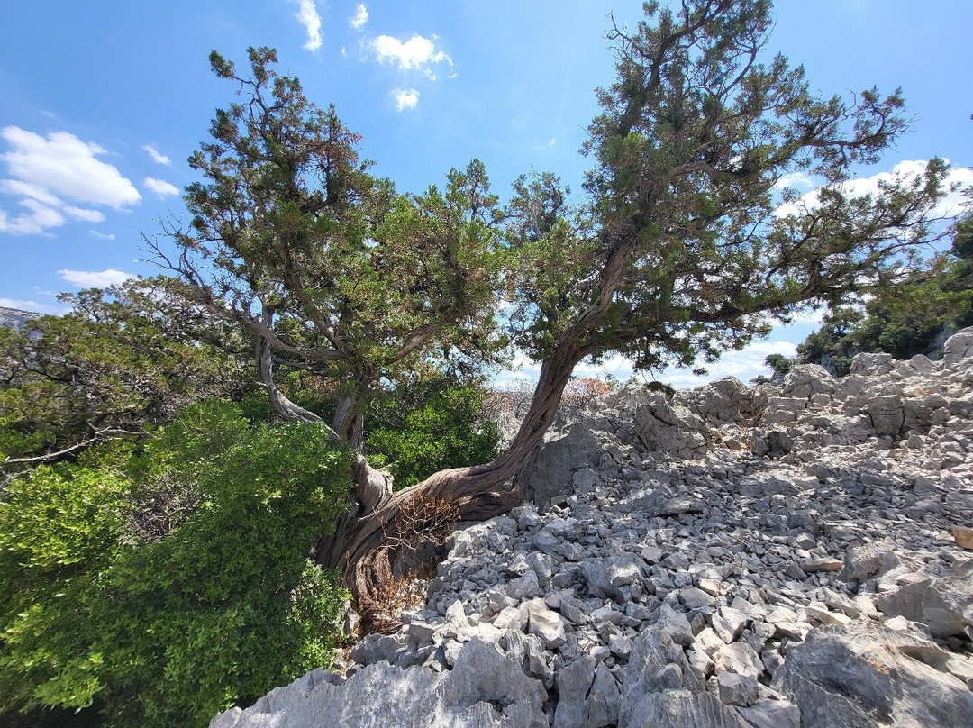 Area Archeologica del Monte Tiscali-Dorgali必去景点