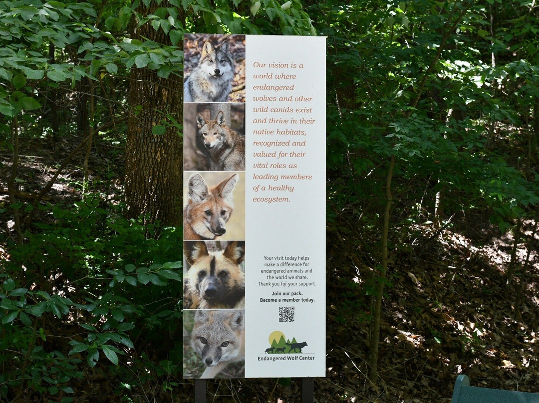 Endangered Wolf Center-Eureka必去景点