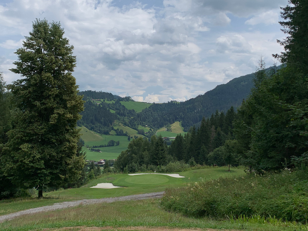 Zum Jungen Roemer主图