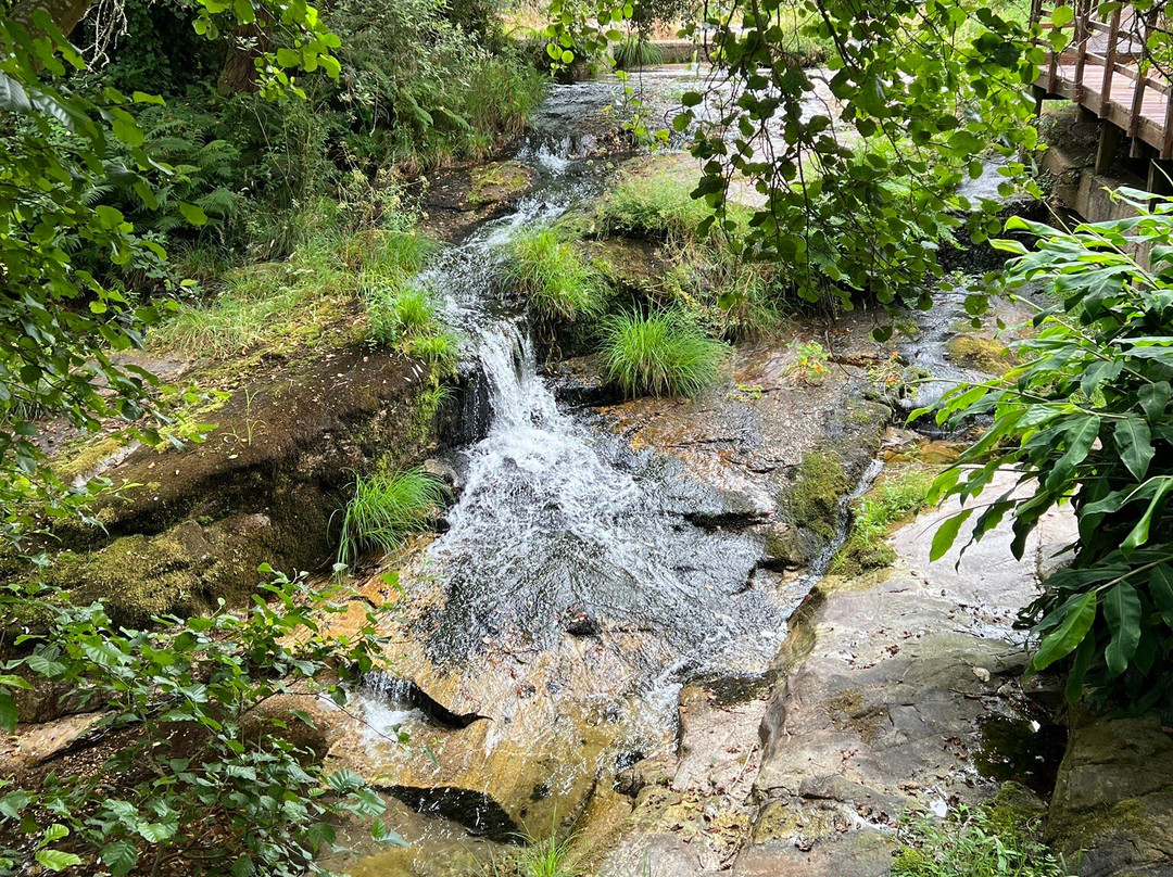 Senda fluvial del rio Baina-Baiona必去景点