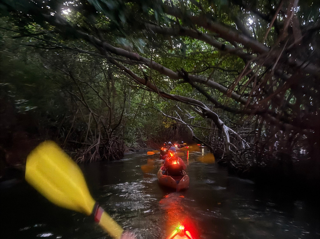 Puerto Rico Bio Bay Tours LLC-法哈多必去景点