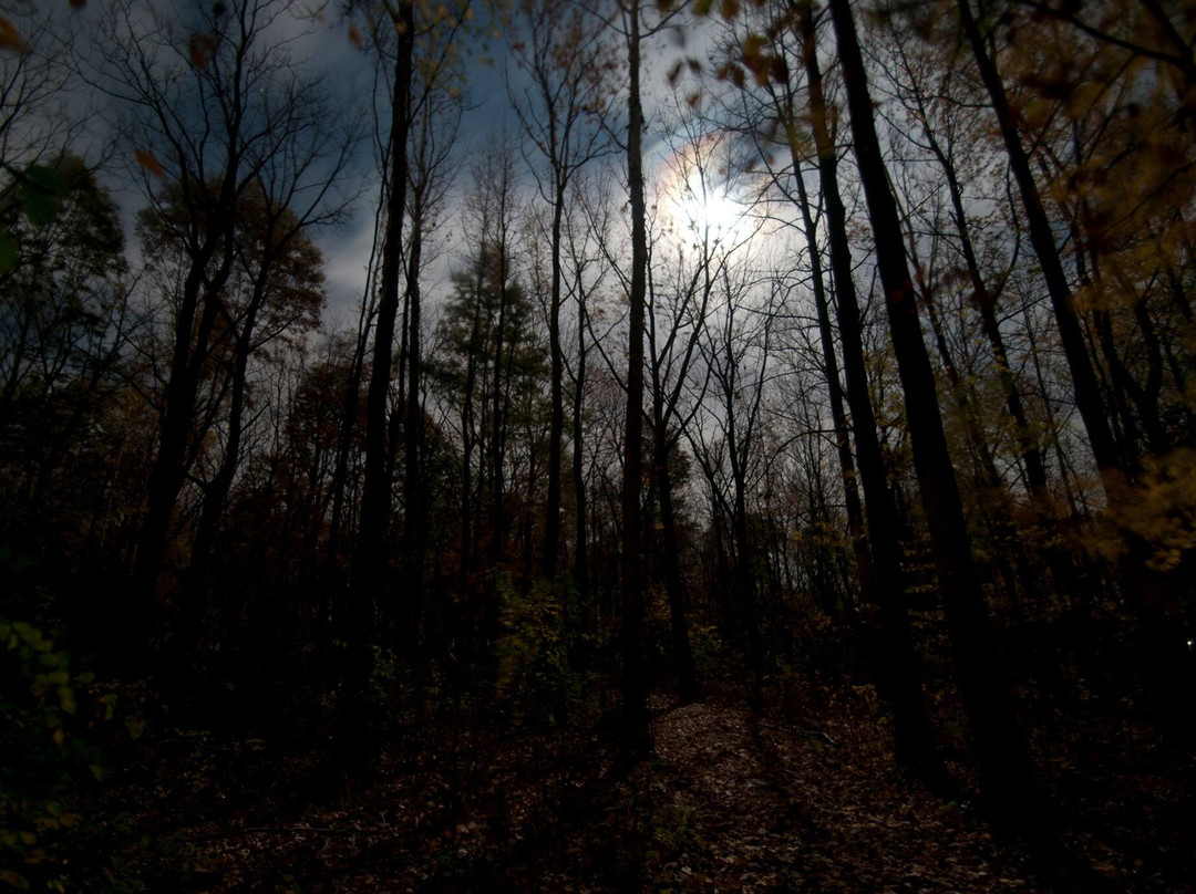 Douglas-Hart Nature Center-Mattoon必去景点