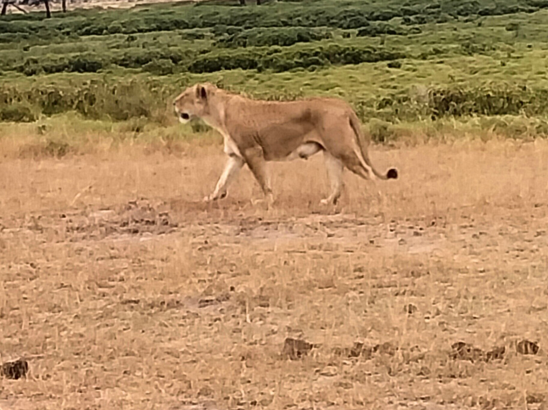 VALLEY ROCKS TOURS-内罗毕必去景点