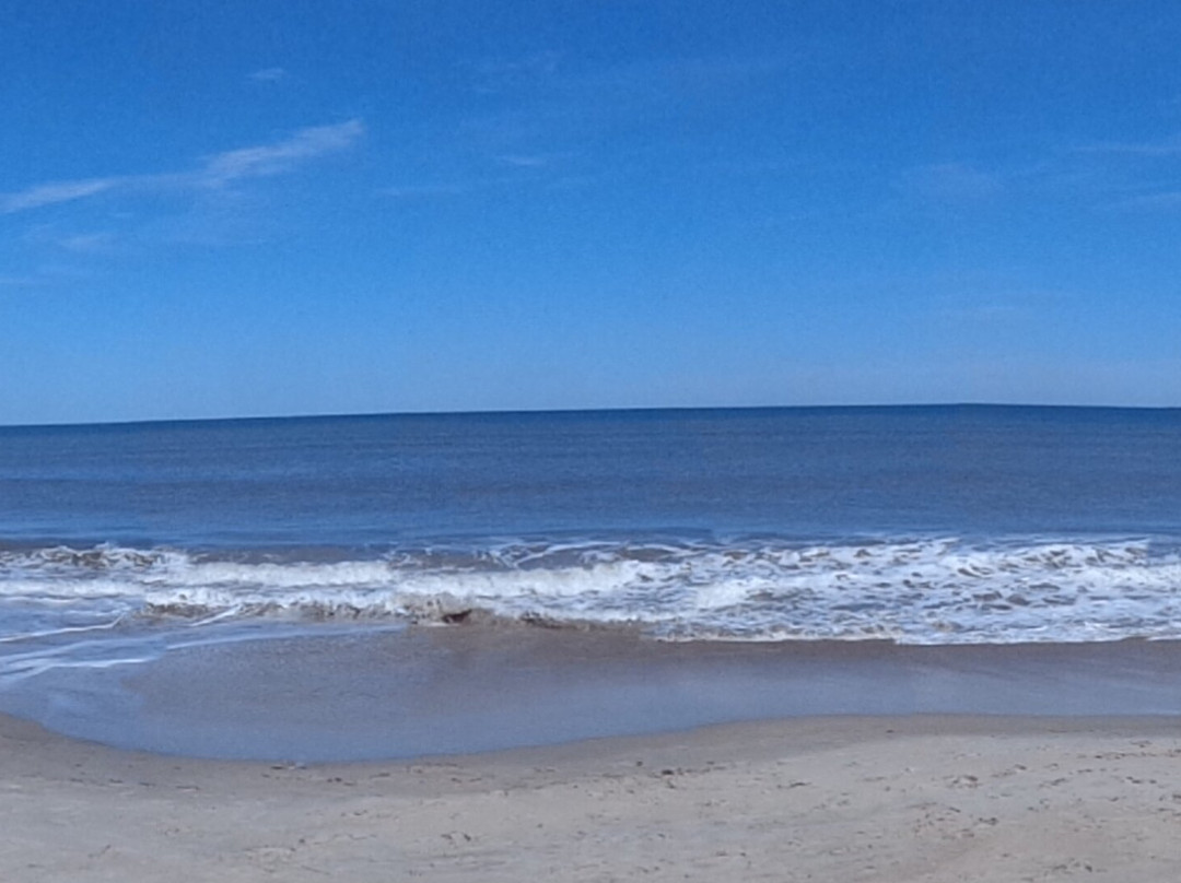 Assateague Island NS-VA Unit-Chincoteague必去景点