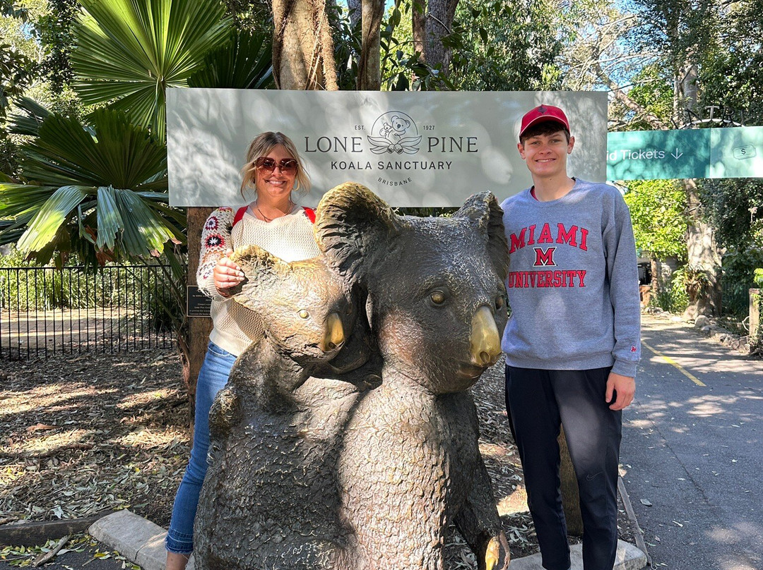 Bos Tours Queensland-Mount Tamborine必去景点