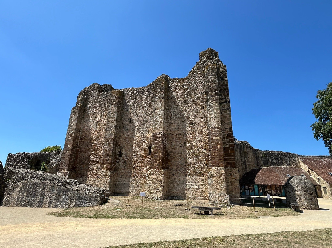 Chateau de Sainte-Suzanne-Sainte-Suzanne必去景点