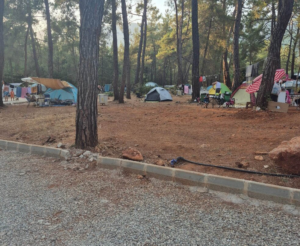Akyaka Orman Kampı
