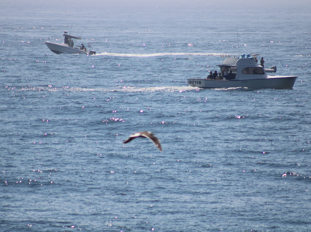 Point Judith Lighthouse-纳拉干西特必去景点