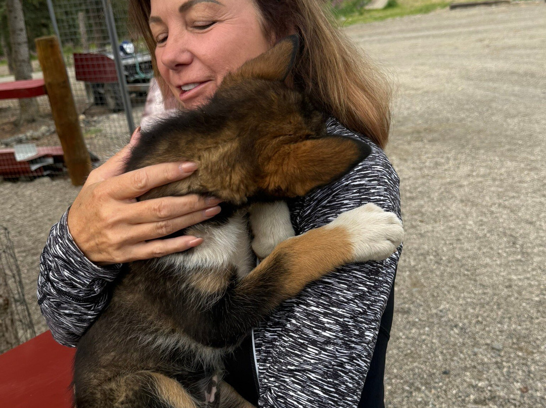 Husky Homestead-德纳利国家公园和自然保护区必去景点