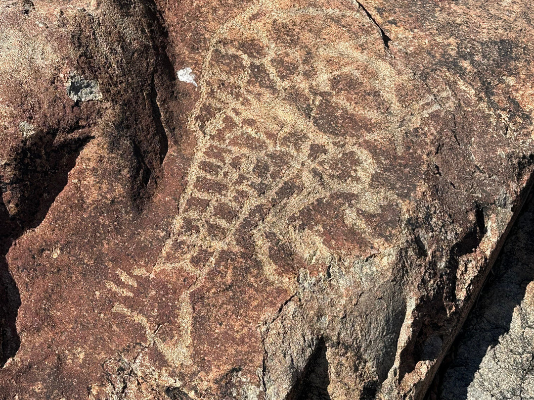 Rock Engravings at Peet Alberts Koppie-Kamanjab必去景点