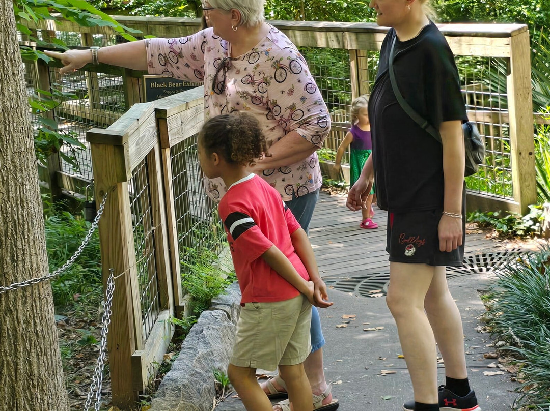 Bear Hollow Zoo-阿森斯必去景点