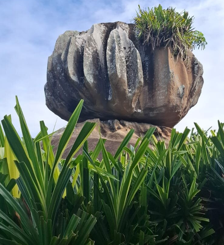 Parque Pedra da Cebola-维多利亚必去景点