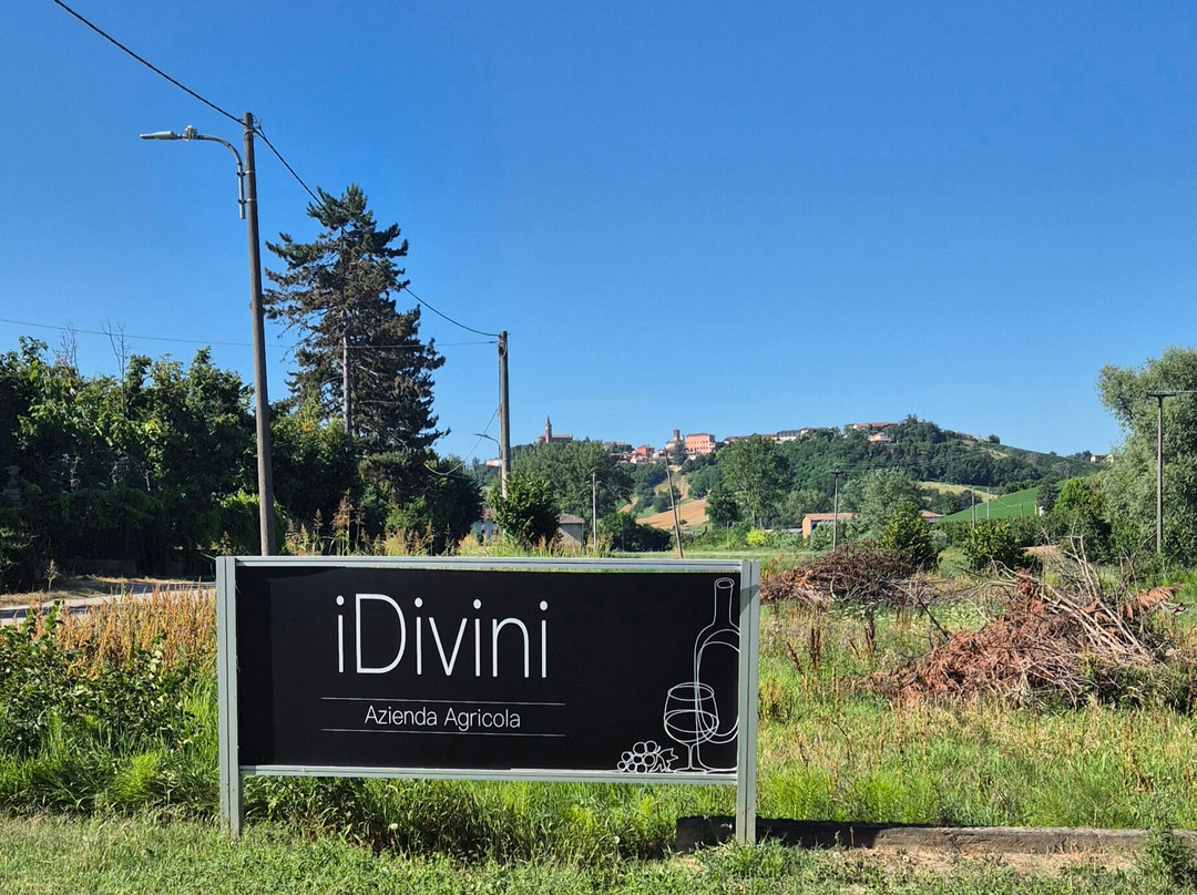 Azienda Vitivinicola Idivini-Isola d'Asti必去景点
