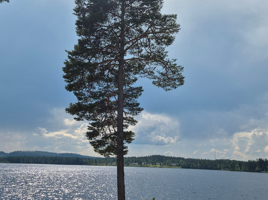 Kolgårdens Stugby & Camping主图