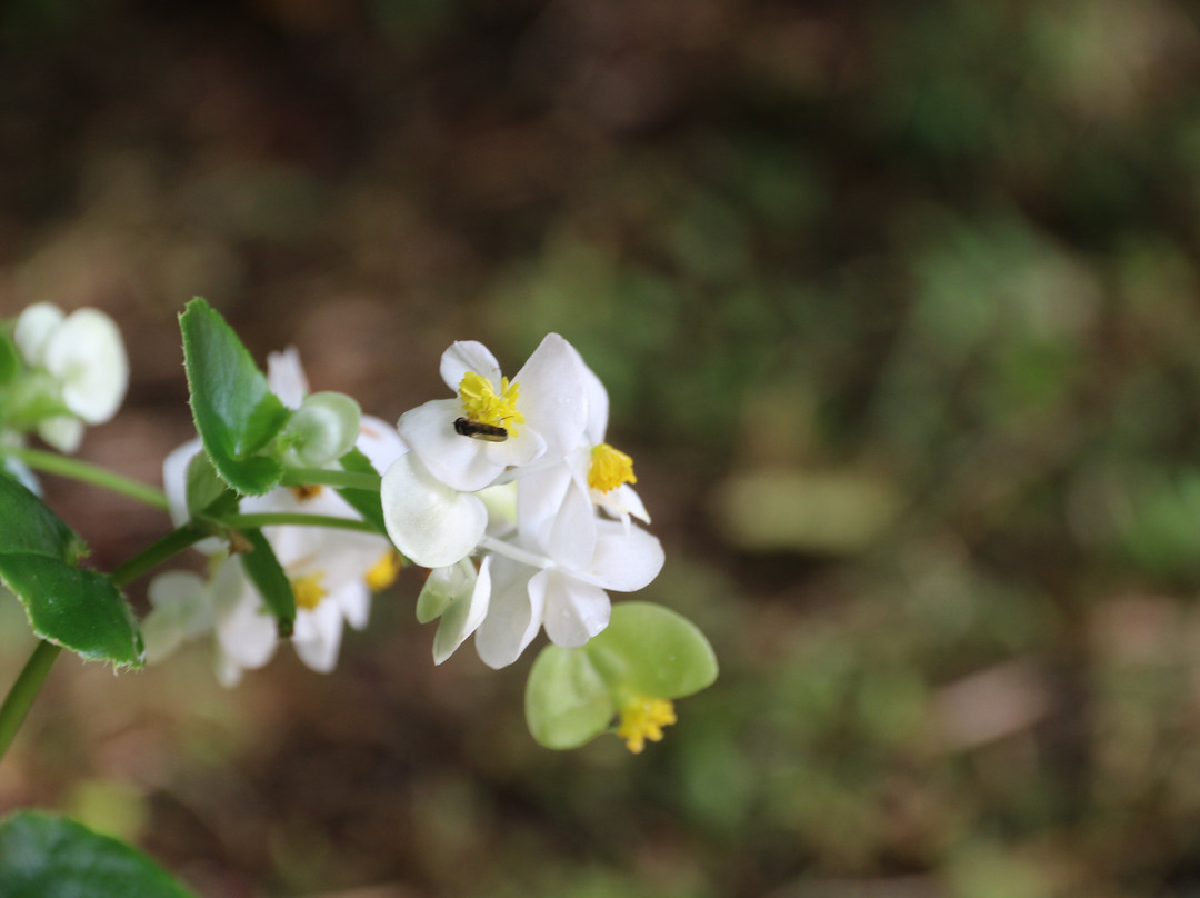 Fast Rabbit Farm Gardens-达特茅斯必去景点