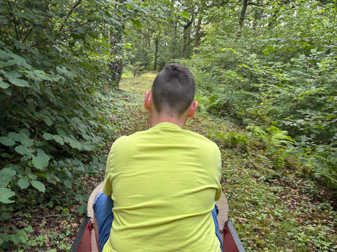 Teifi Valley Railway-Llandysul必去景点